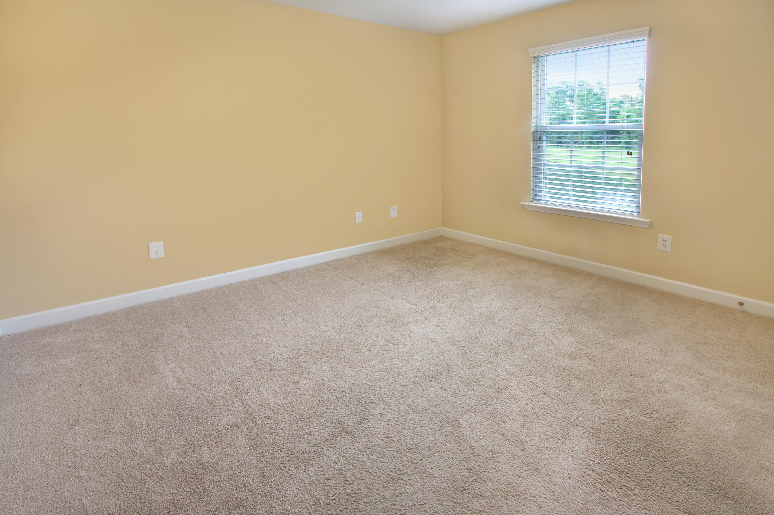 3020 Adventure Way Ladson, SC 29456 - Photo 16 of 21 Bedroom #2