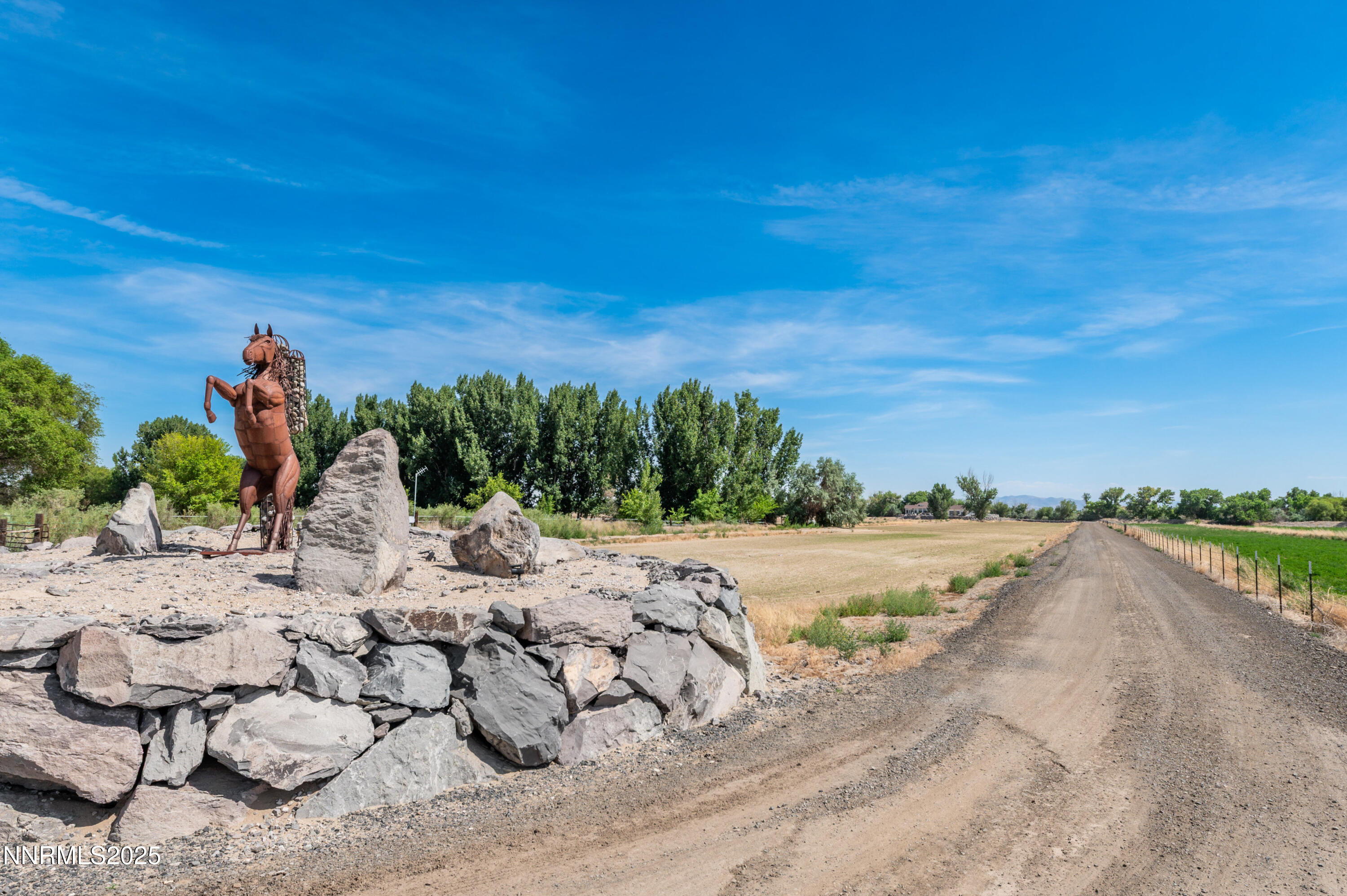 4433 Casey Road Fallon, NV 89406 - Photo 3 of 71 003_c-1077_849