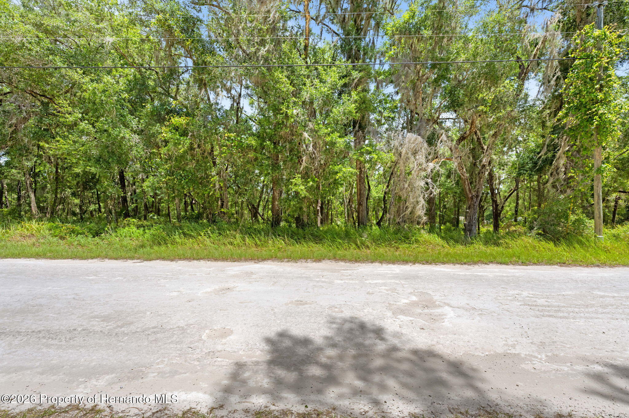 0 Ricebird Avenue Weeki Wachee, FL 34614 - Photo 18 of 26