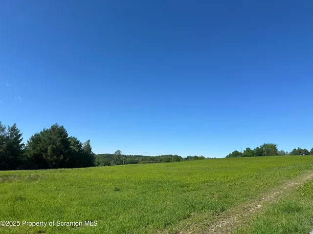a view of an ocean from a yard