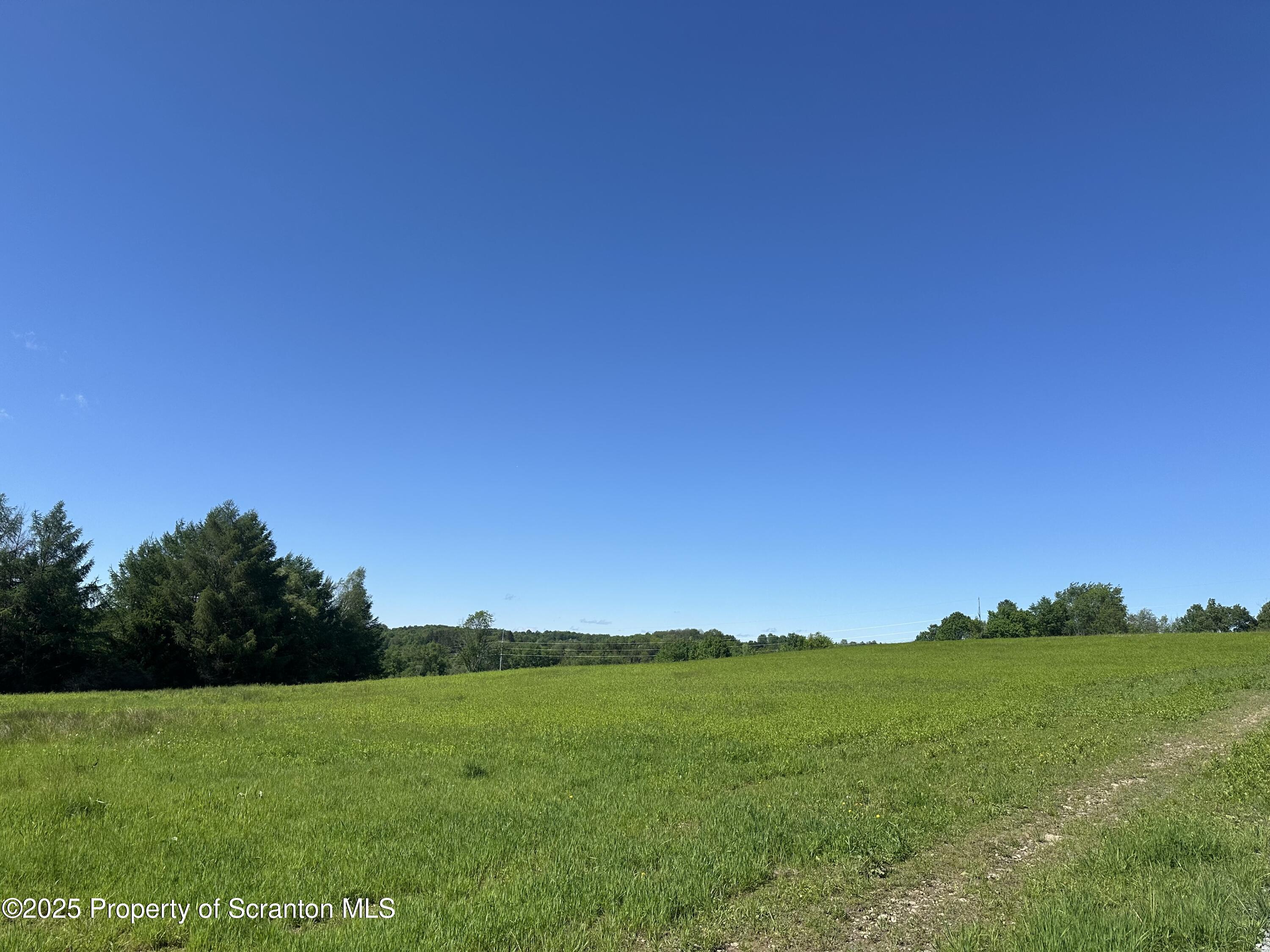 a view of an ocean from a yard