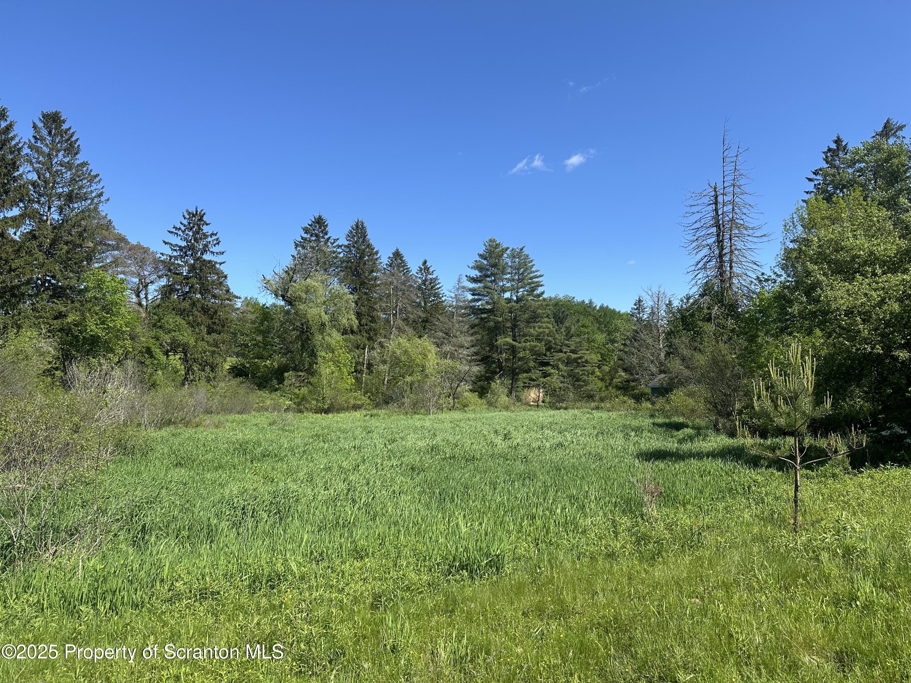 1520 North Abington Road Dalton, PA 18414 - Photo 2 of 3 a view of a big yard with large trees