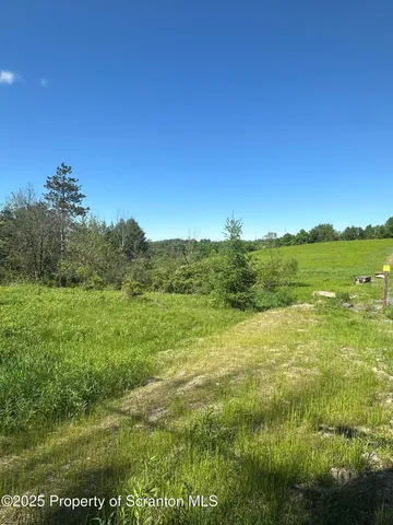 a view of an outdoor space and a yard