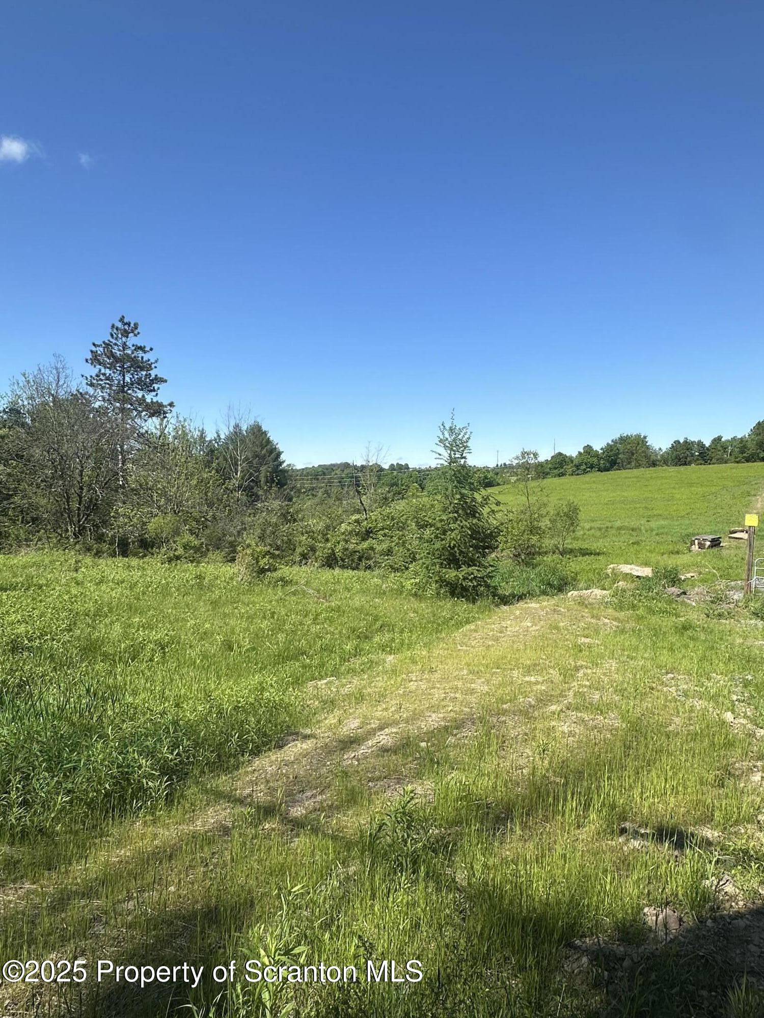 1520 North Abington Road Dalton, PA 18414 - Photo 3 of 3 a view of an outdoor space and a yard