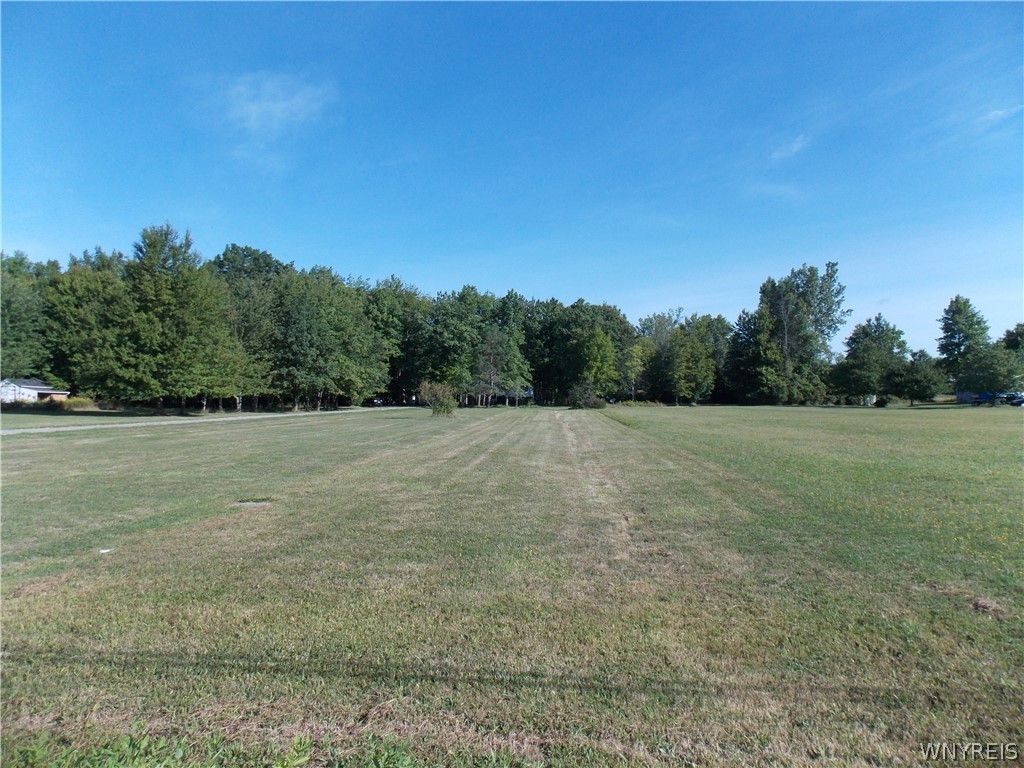 8976 Sesh Road Clarence, NY 14032 - Photo 36 of 39