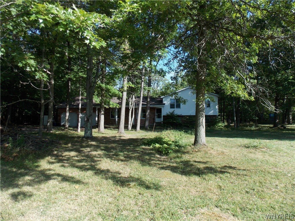 8976 Sesh Road Clarence, NY 14032 - Photo 39 of 39