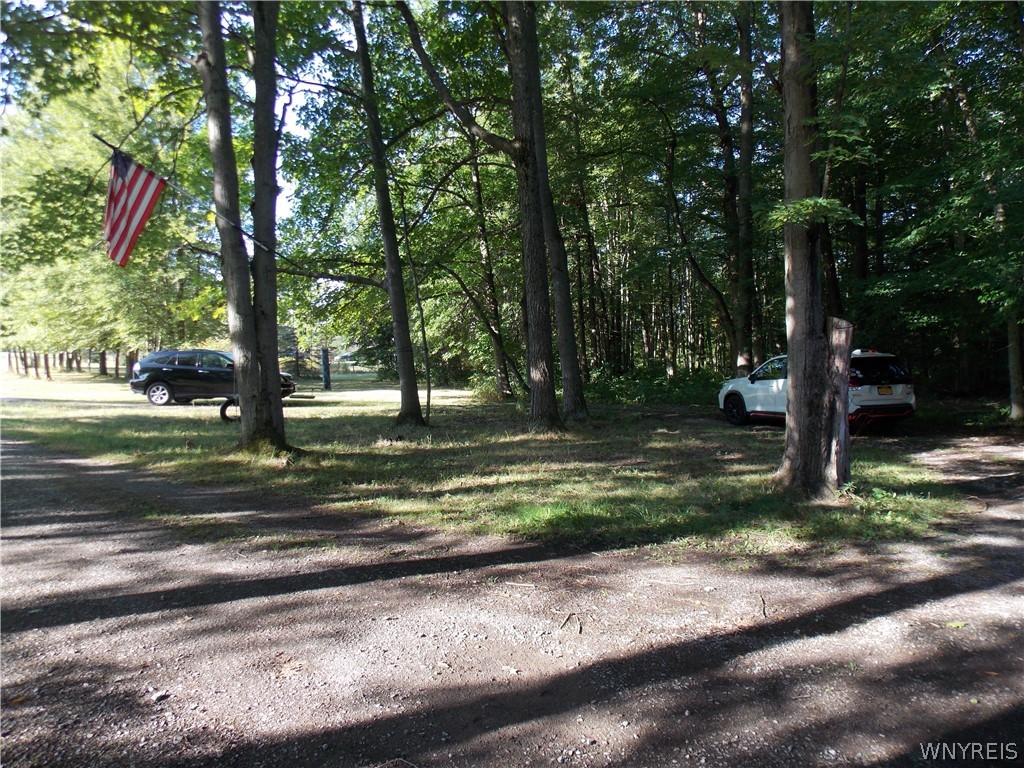 8976 Sesh Road Clarence, NY 14032 - Photo 6 of 39