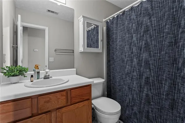 a bathroom with a sink toilet and vanity