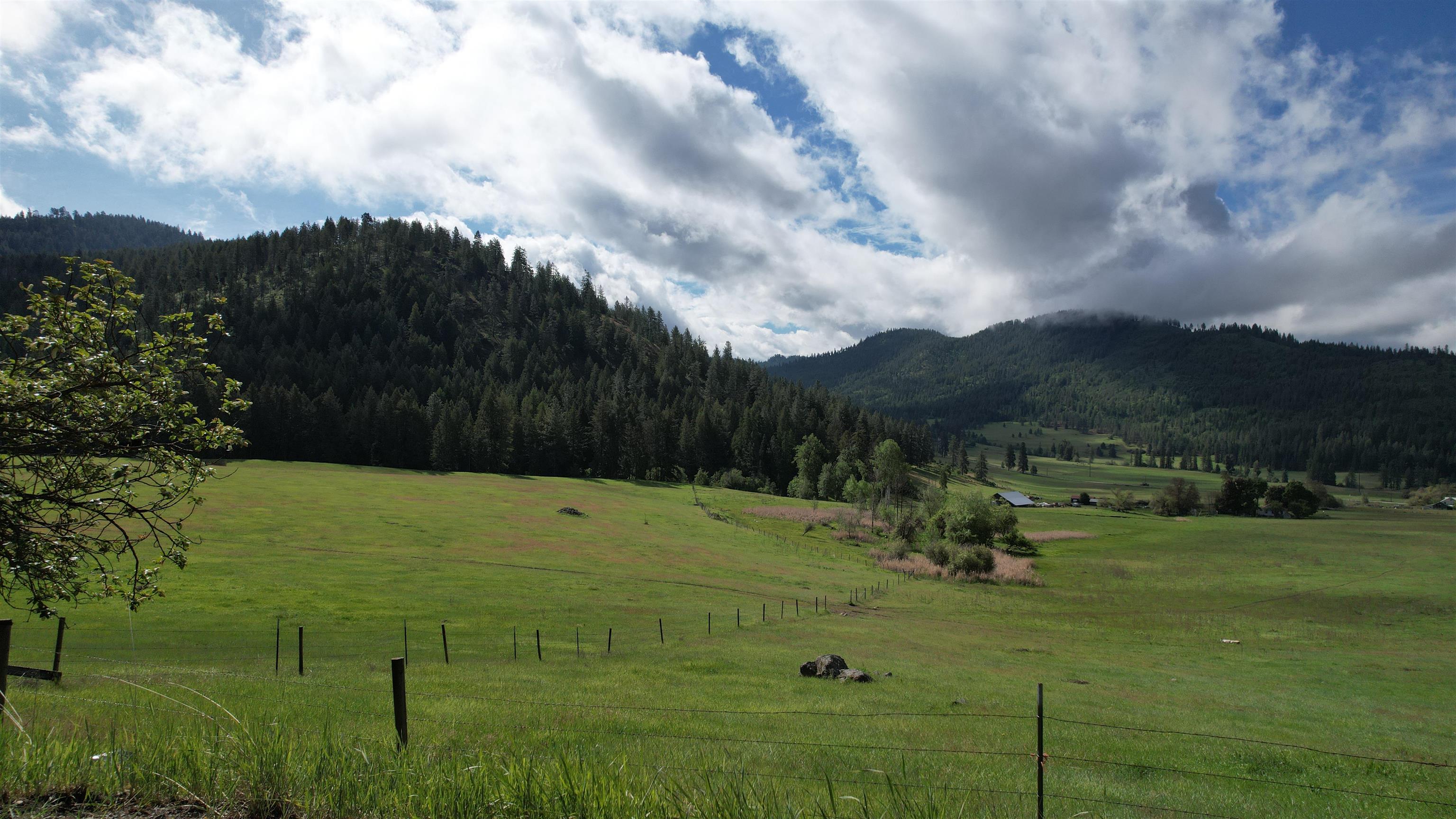 Parcel Ab Daisy Mine Road Rice, WA 99167 - Photo 11 of 33
