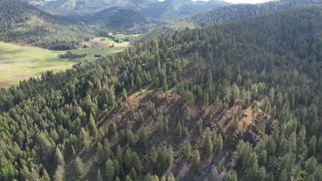 $49,999 | Parcel Ab Daisy Mine Road, Rice, WA 99167