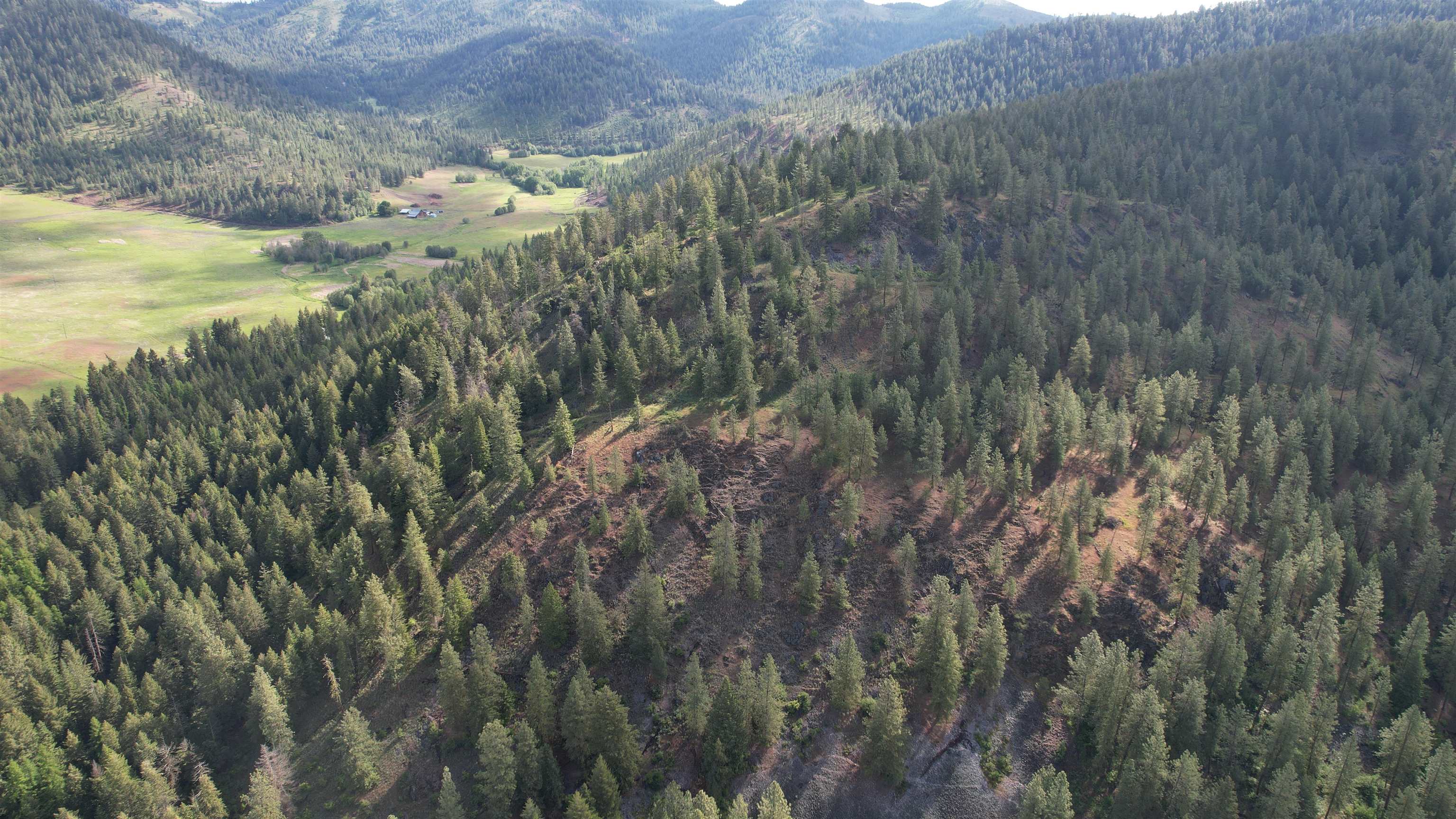 Parcel Ab Daisy Mine Road Rice, WA 99167 - Photo 13 of 33