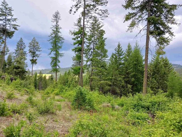 $49,999 | Parcel Ab Daisy Mine Road, Rice, WA 99167