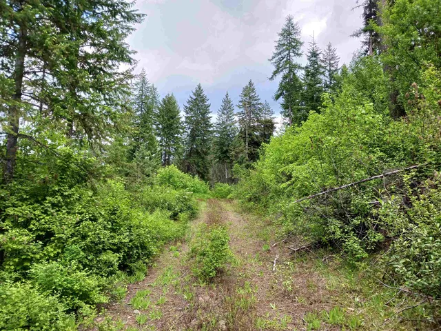 $49,999 | Parcel Ab Daisy Mine Road, Rice, WA 99167