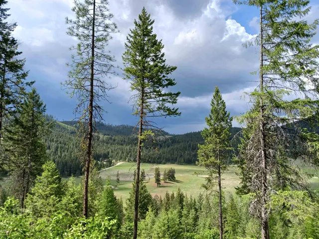 $49,999 | Parcel Ab Daisy Mine Road, Rice, WA 99167