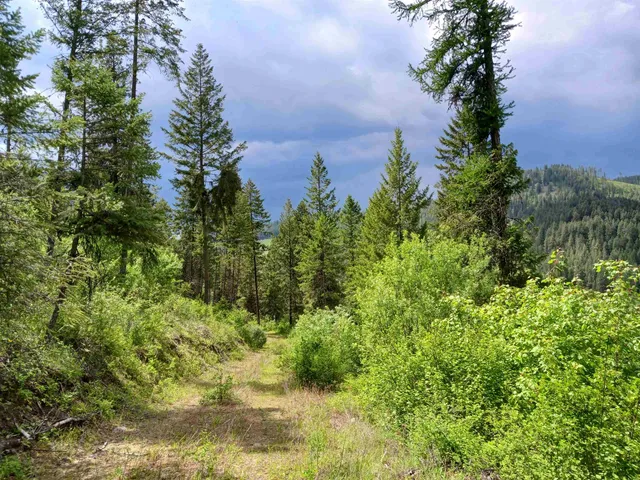 $49,999 | Parcel Ab Daisy Mine Road, Rice, WA 99167