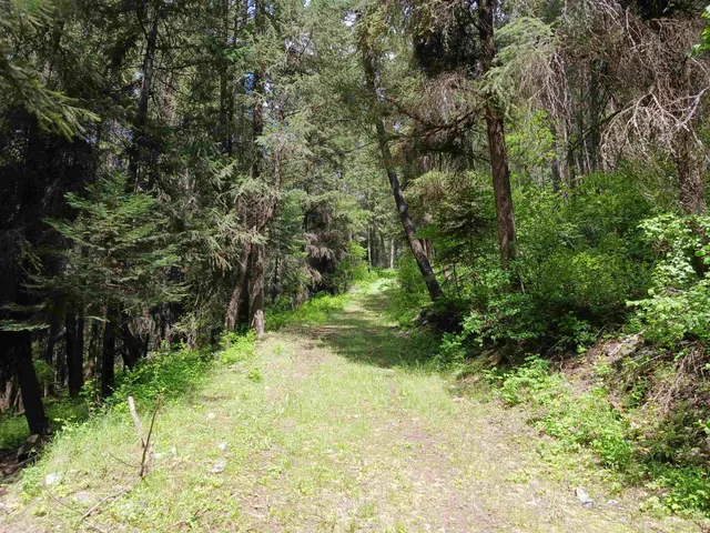 $49,999 | Parcel Ab Daisy Mine Road, Rice, WA 99167