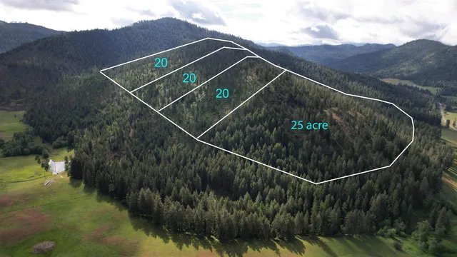 $49,999 | Parcel Ab Daisy Mine Road, Rice, WA 99167