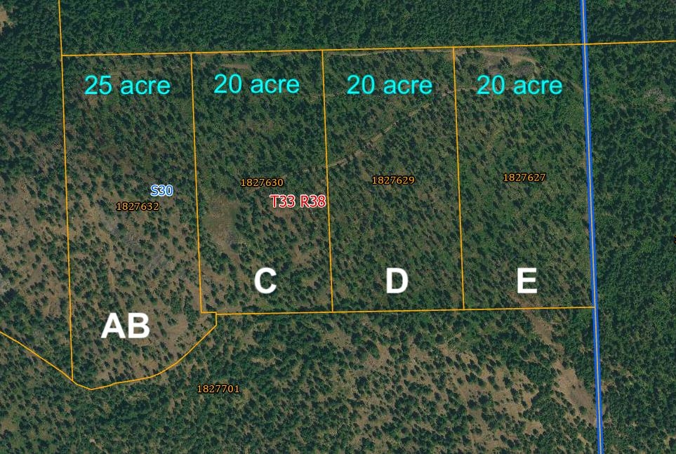 Parcel Ab Daisy Mine Road Rice, WA 99167 - Photo 6 of 33