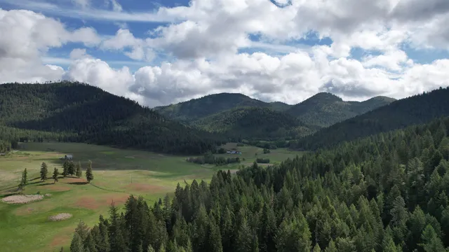 $49,999 | Parcel Ab Daisy Mine Road, Rice, WA 99167