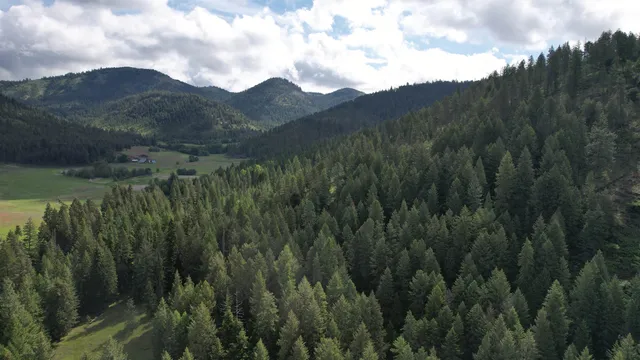 $49,999 | Parcel Ab Daisy Mine Road, Rice, WA 99167