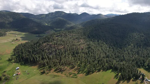 $49,999 | Parcel Ab Daisy Mine Road, Rice, WA 99167