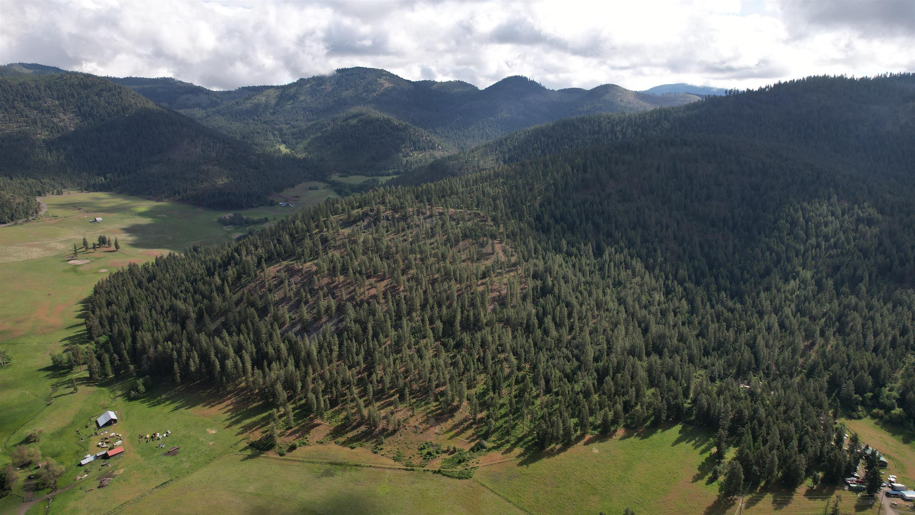 Parcel Ab Daisy Mine Road Rice, WA 99167 - Photo 10 of 33