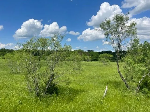 a view of a bunch of flowers in middle of the green field