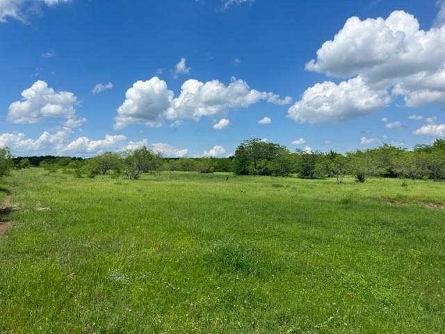 0 Davy Lane Denison, TX 75020 - Photo 5 of 7 a view of a big yard with lots of green space