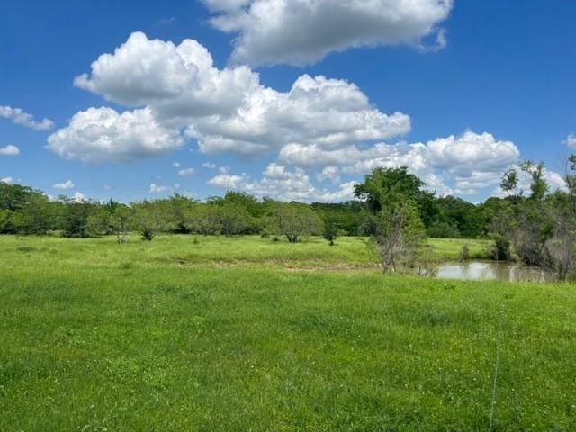 0 Davy Lane Denison, TX 75020 - Photo 6 of 7 a view of a lake with a big yard