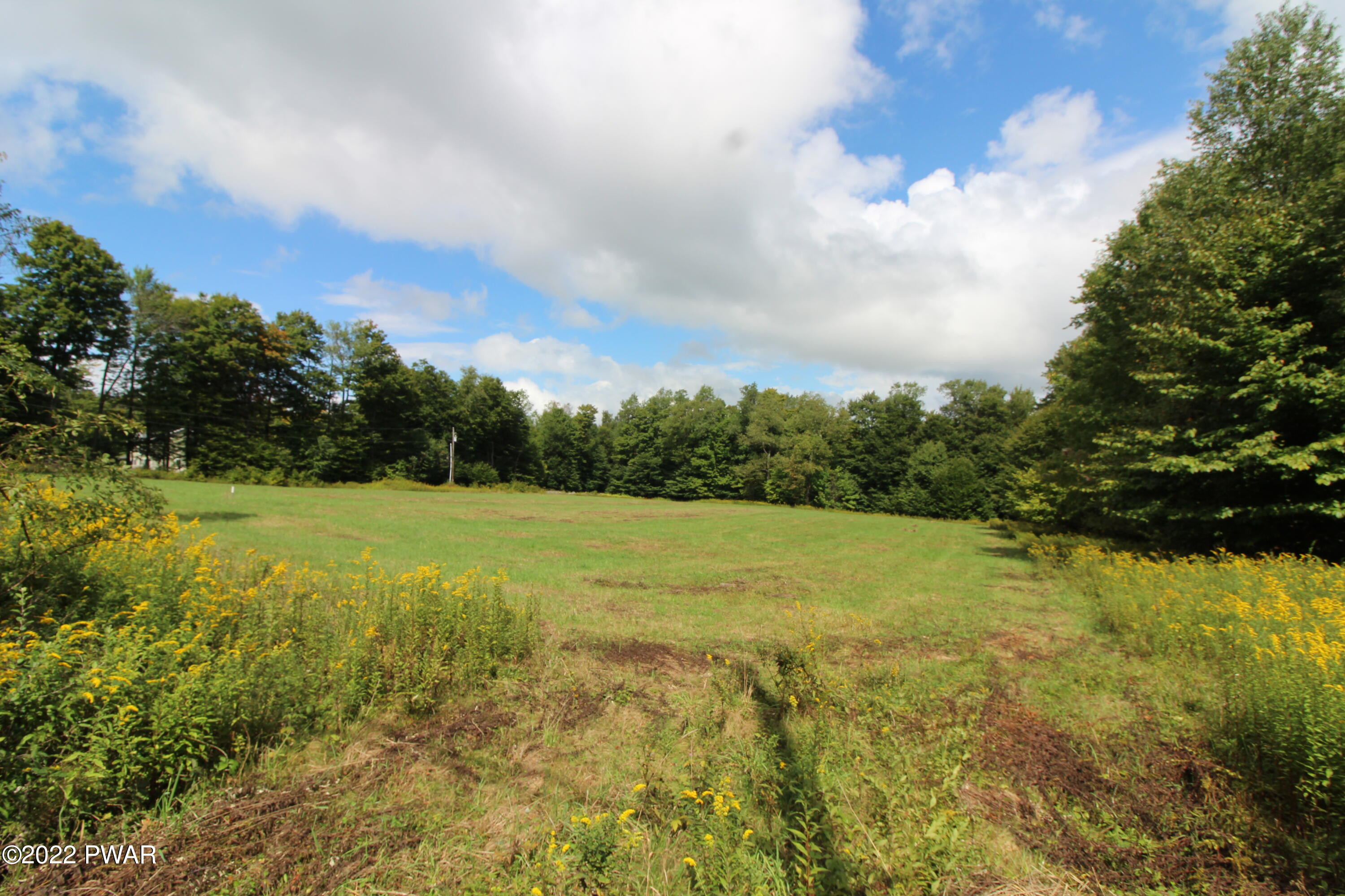 South Turnpike Road Newfoundland, PA 18445 - Photo 7 of 13