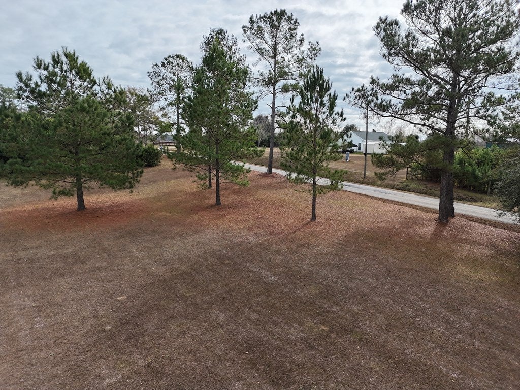 2-acr Lewis Road Cairo, GA 39828 - Photo 6 of 24 Gallery Image 6