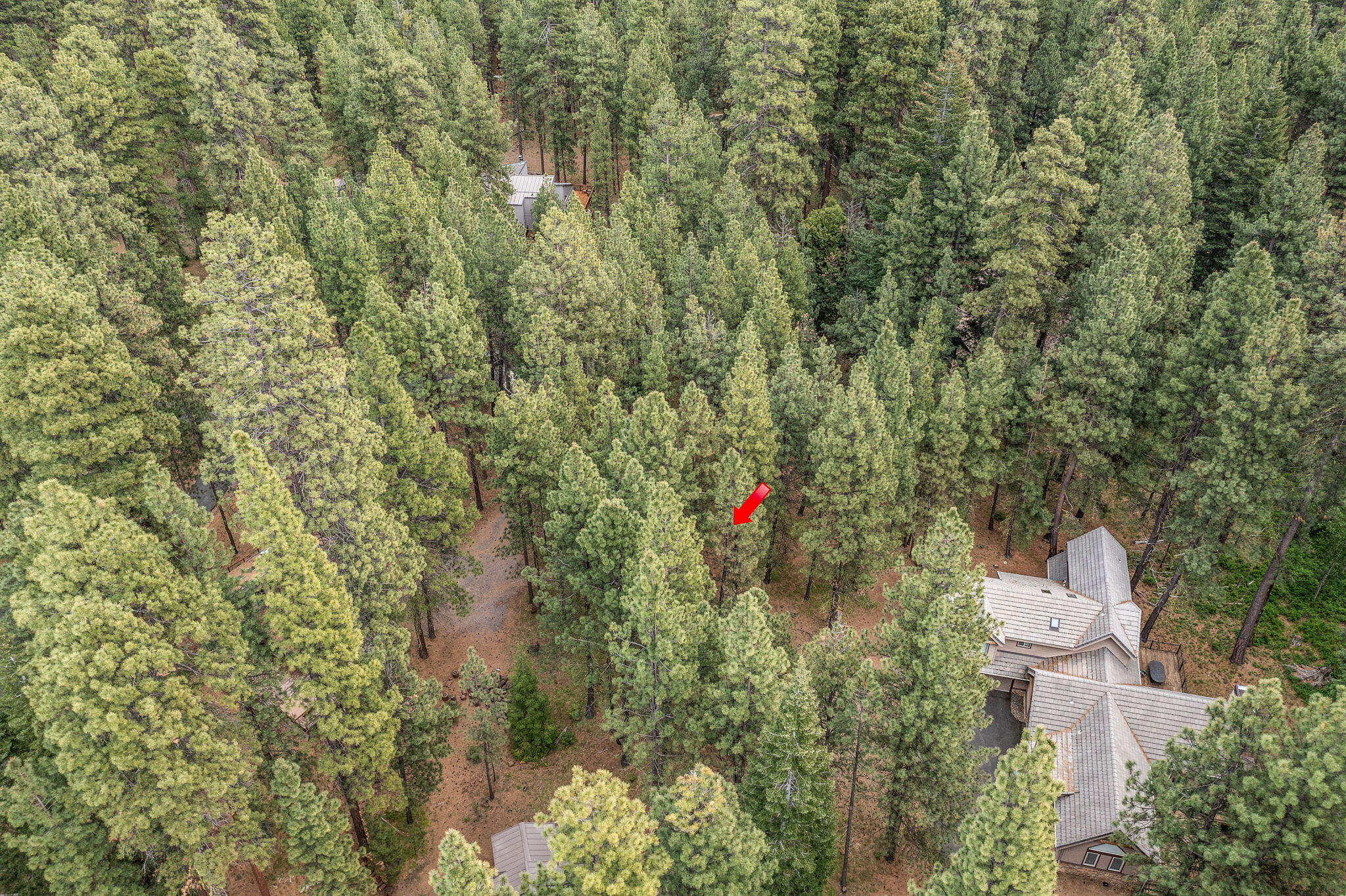 Undisclosed Address Black Butte Ranch, OR 97759 - Photo 23 of 24 a view of a pathway and a fountain