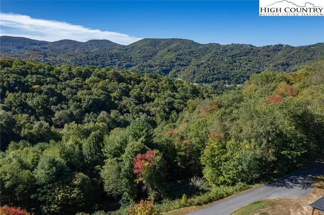 a view of a lush green hillside and a mountain view