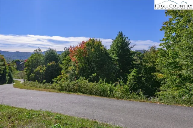 a view of a pathway both side of grassy field with trees