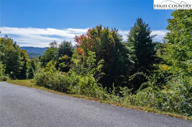 a view of a garden with plants