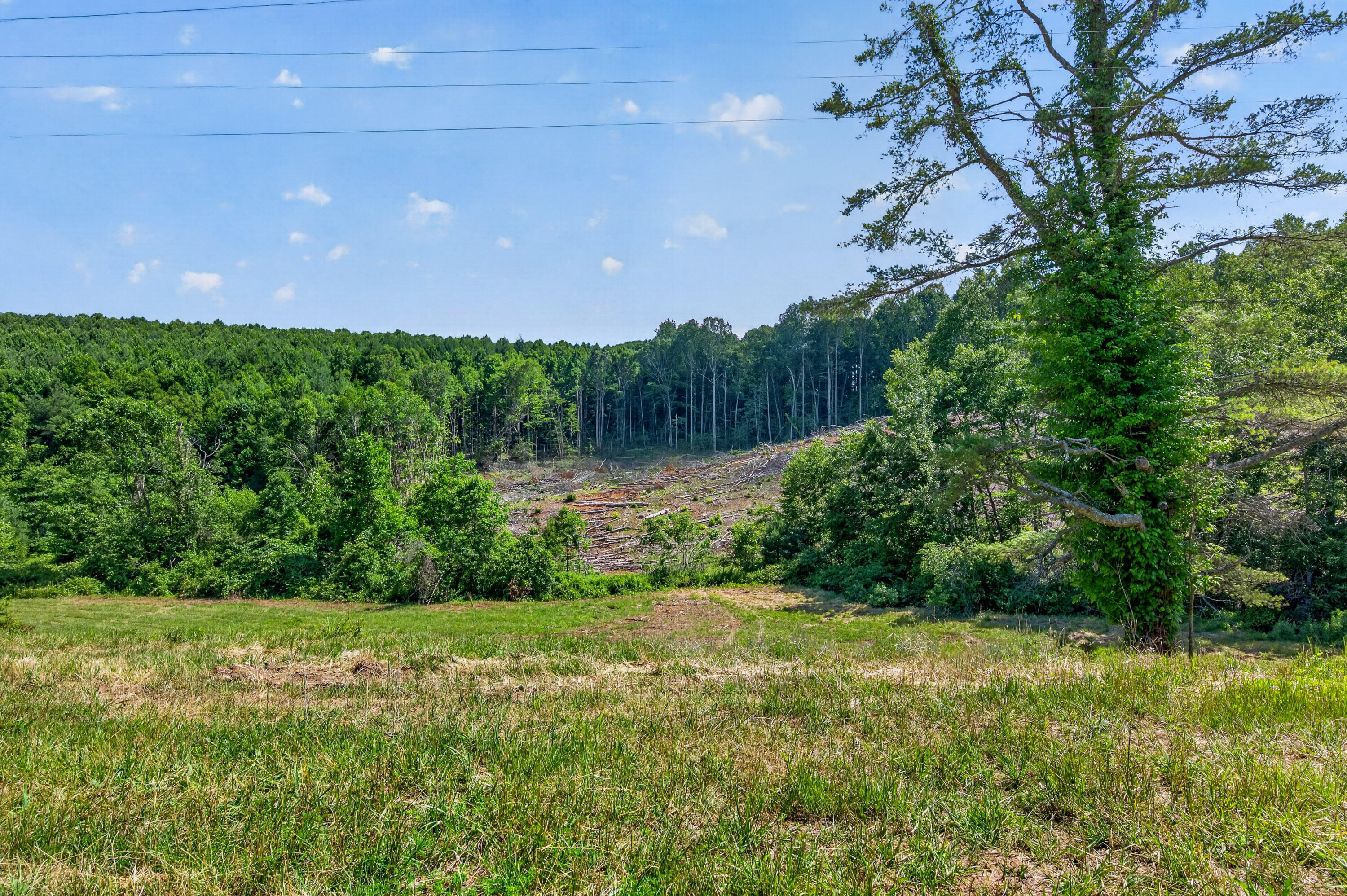6196 Chances Creek Road Fancy Gap, VA 24328 - Photo 70 of 78 71