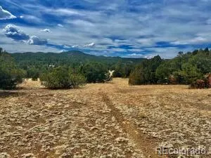 $95,500 | 29870 County Road 16, Trinidad, CO 81082