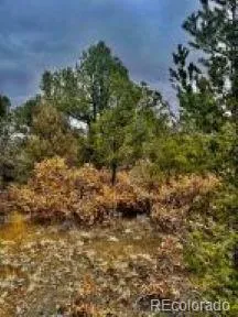 $95,500 | 29870 County Road 16, Trinidad, CO 81082