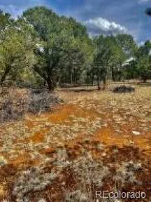 $95,500 | 29870 County Road 16, Trinidad, CO 81082