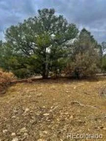 $95,500 | 29870 County Road 16, Trinidad, CO 81082