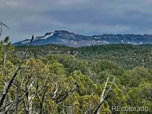 $95,500 | 29870 County Road 16, Trinidad, CO 81082