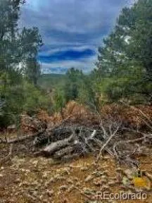 $95,500 | 29870 County Road 16, Trinidad, CO 81082
