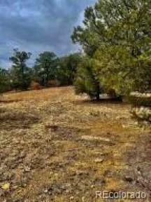 $95,500 | 29870 County Road 16, Trinidad, CO 81082