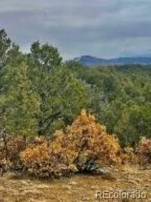 $95,500 | 29870 County Road 16, Trinidad, CO 81082