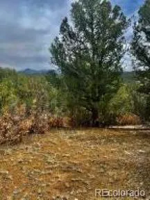 $95,500 | 29870 County Road 16, Trinidad, CO 81082