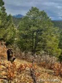 $95,500 | 29870 County Road 16, Trinidad, CO 81082