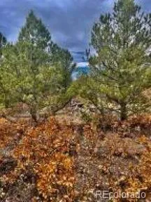 $95,500 | 29870 County Road 16, Trinidad, CO 81082