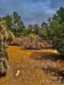 $95,500 | 29870 County Road 16, Trinidad, CO 81082