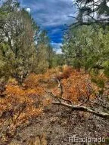 $95,500 | 29870 County Road 16, Trinidad, CO 81082