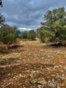 $95,500 | 29870 County Road 16, Trinidad, CO 81082